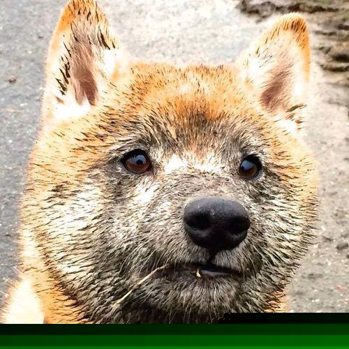 CBA联赛增加家庭主题日活动拉近球迷关系,cba球队怎么创建