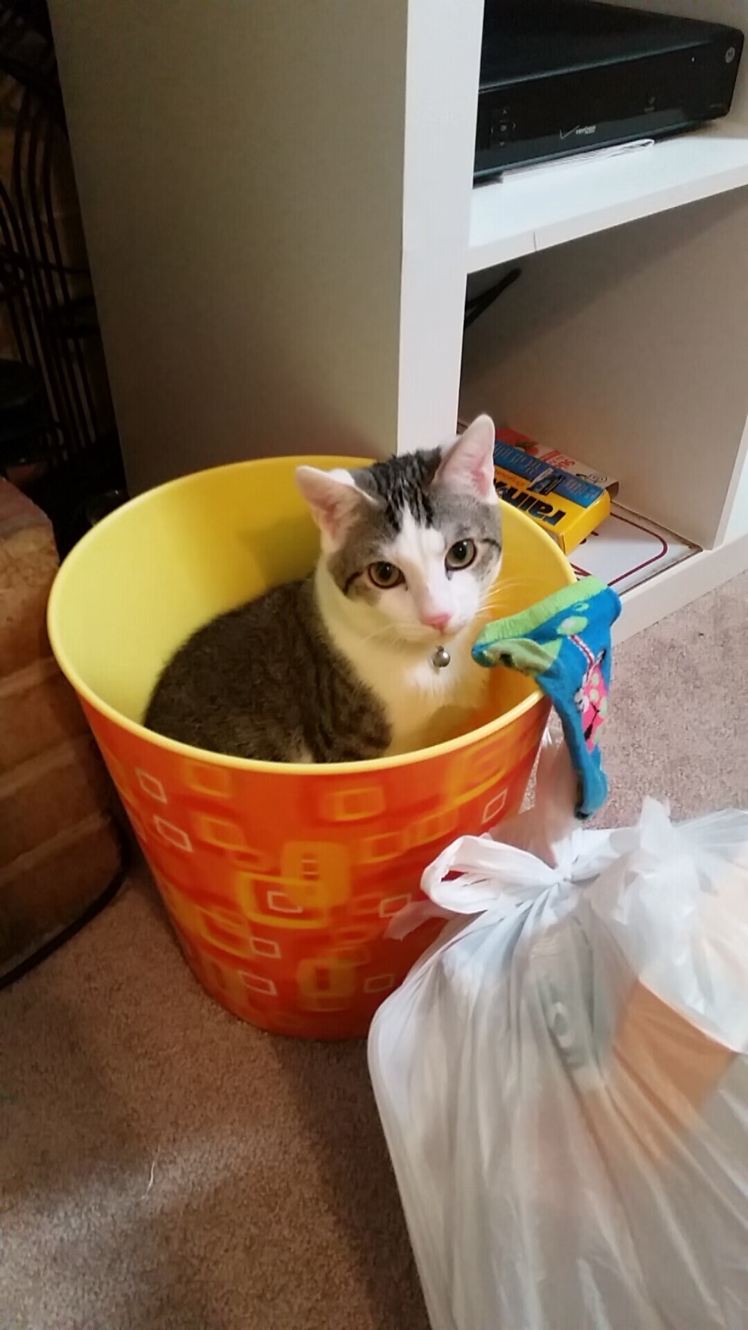 青训计划纳入心理素质评估模块,青训计划纳入心理素质评估模块吗